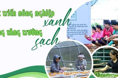 Phát triển nông nghiệp xanh bằng tăng trưởng sạch
