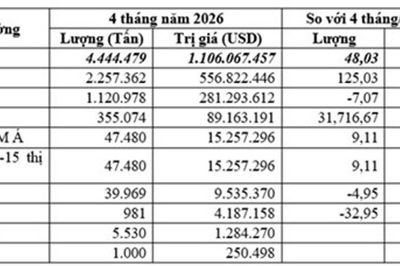 Nhập khẩu ngô 4 tháng đầu năm 2026 tăng 48,03%, chi gần 1,1 tỷ USD