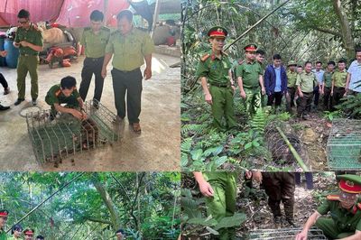 Triệt phá nhiều cơ sở kinh doanh động vật hoang dã và giải cứu các loài quý hiếm
