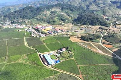 Các xã khu vực Vân Hồ hoàn thành phương án sắp xếp, tổ chức lại các bản trên địa bàn