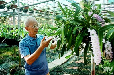 Về 'thủ phủ hoa lan' Trung Thần