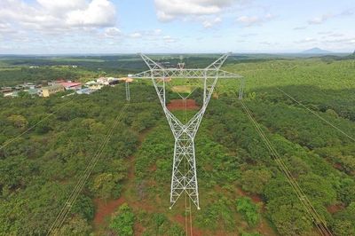 Truyền tải điện Thành phố Hồ Chí Minh 2: Nỗ lực giữ vững hành lang an toàn tuyến 500kV Bắc - Nam lịch sử