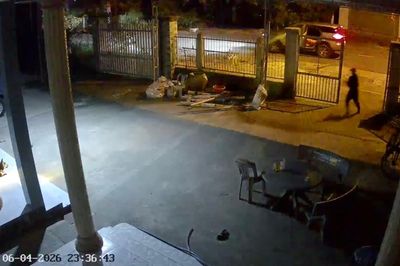 Truy xét nhóm đối tượng lái ô tô đi trộm chó ở TP.HCM