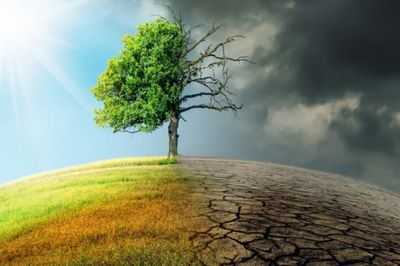Môi trường phải trở thành động lực của tăng trưởng xanh