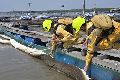 Học cách lắng nghe môi trường trước khi môi trường kêu cứu bằng thảm họa