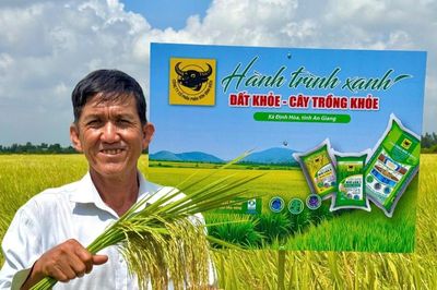 Đất khỏe hôm nay, mùa vàng ngày mai