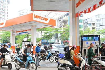 Chưa ghi nhận phản hồi tiêu cực từ người dùng về xăng E10