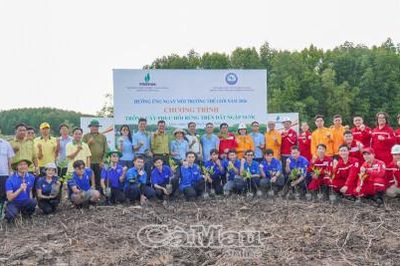 Trồng mới gần 4.000 cây đước, phục hồi rừng ngập mặn