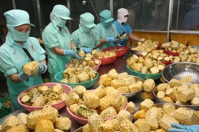 Bộ Công Thương đề nghị phổ biến tài liệu hướng dẫn sử dụng hệ thống CIFER