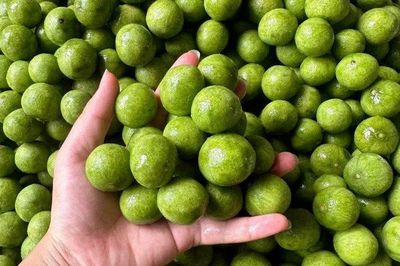 Sấu vào mùa, đừng bỏ lỡ cách bảo quản này: Để cả năm vẫn tươi ngon, nấu canh hay pha nước đều chuẩn vị