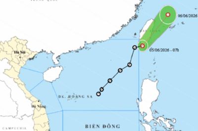 Tin mới nhất về áp thấp nhiệt đới và cảnh báo mưa lớn ở miền Bắc