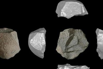 Homo juluensis Trung Quốc vừa viết lại lịch sử loài người