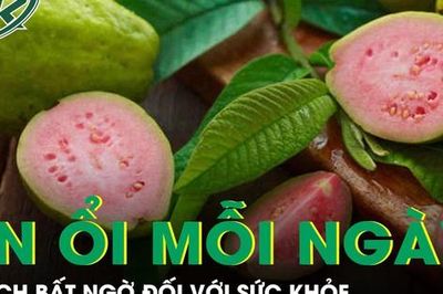 Tác dụng không ngờ của việc ăn 1-2 quả ổi mỗi ngày