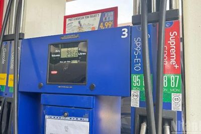 Ấn Độ bắt đầu triển khai nhiên liệu E85