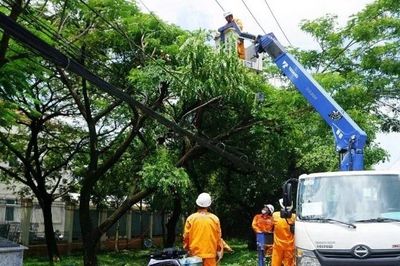 Thành phố Hồ Chí Minh: Chủ động phòng ngừa cây ngã đổ, tai nạn điện mùa mưa