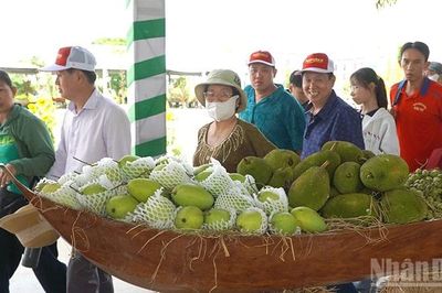 Đồng Tháp: Khắc phục hư hỏng phát sinh do vài du khách gây ảnh hưởng tại lễ hội trái cây