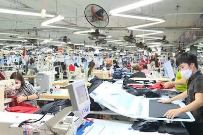 Vai trò của doanh nghiệp trong chuyển đổi xanh, kiến tạo bền vững