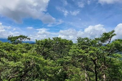 Phong Nha - Kẻ Bàng được công nhận là Khu Dự trữ sinh quyển thế giới