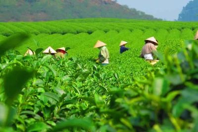 Thái Nguyên đề xuất thu hồi đất để triển khai 32 dự án