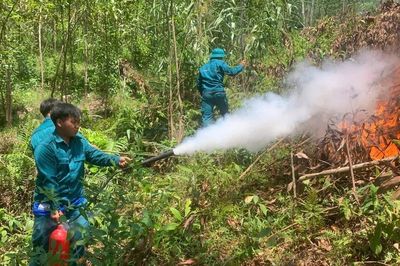 Đốt thực bì giữa nắng nóng, lửa cháy lan đồi keo
