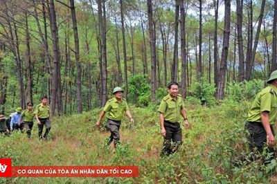 Kiểm lâm Huế và hành trình bảo vệ 'lá phổi xanh'