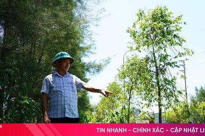Nhếch nhác tuyến 'cửa ngõ' phía đông phường Thành Sen
