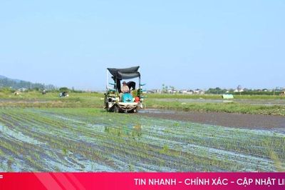 Hoàn thành gieo cấy hè thu, tạo lợi thế trước mùa mưa bão cuối vụ