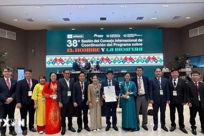 Phong Nha-Kẻ Bàng được UNESCO vinh danh là Khu Dự trữ sinh quyển thế giới