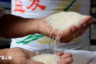 Tăng cường quan hệ hữu nghị truyền thống Việt Nam và Timor-Leste