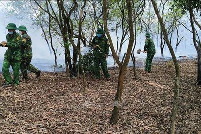 Quảng Trị: Điều tra làm rõ nguyên nhân vụ cháy rừng phòng hộ ven biển