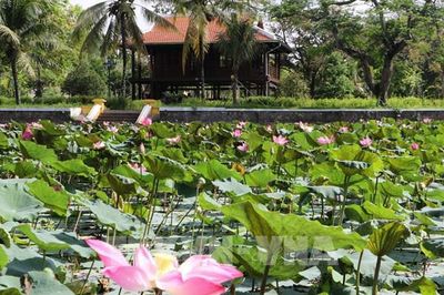 Dấu ấn Nhà sàn Bác Hồ giữa lòng Đồng Tháp
