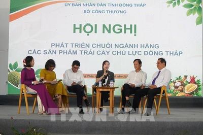 Lễ hội trái cây Đồng Tháp 2026: Nâng cấp chuỗi giá trị nông sản
