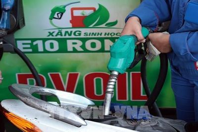 Công bố địa chỉ email tiếp nhận phản ánh về xăng E10