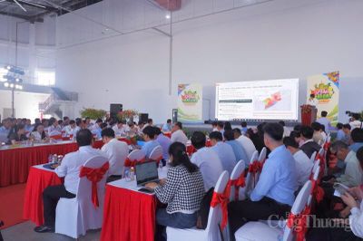 Đồng Tháp định hướng nâng tầm chuỗi giá trị trái cây chủ lực