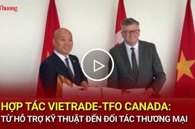 Hợp tác Vietrade-TFO Canada: Từ hỗ trợ kỹ thuật đến đối tác thương mại