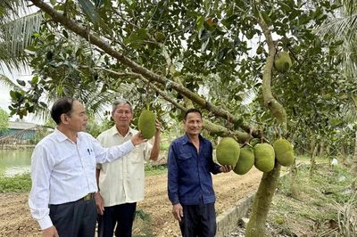 Quan tâm, chăm sóc và phát huy vai trò người cao tuổi