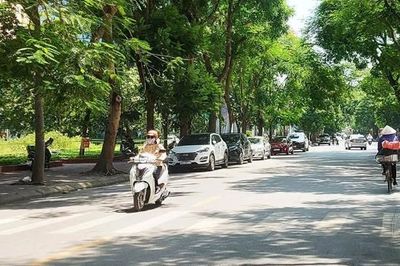 Thời tiết Bắc Ninh đêm mùng 6, ngày 7/6: Gió Đông Nam cấp 2