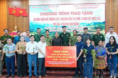 Trao tặng hơn 100 nghìn cây giống cà phê, mắc ca cho hộ nghèo xã Nà Hỳ