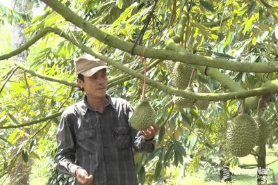 Phát huy vai trò của nguồn tín dụng chính sách