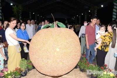 Trái cây đặc sản đầy ắp tại Không gian trưng bày, triển lãm chuỗi giá trị ngành hàng trái cây Đồng Tháp