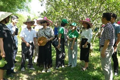 Xã Canh Vinh ra mắt tour du lịch kết nối các điểm đến