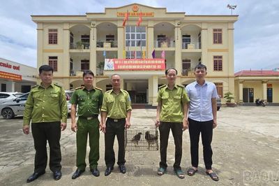Người dân tự nguyện giao nộp động vật hoang dã quý hiếm