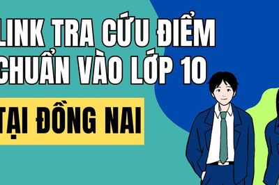 Link tra cứu điểm thi vào 10 năm 2026-2027 tại Đồng Nai