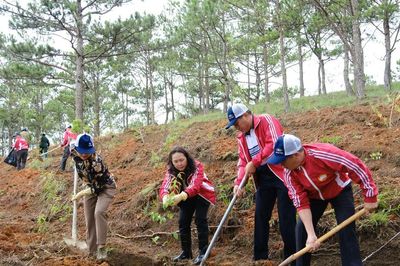 Phó Bí thư Tỉnh ủy Phạm Thị Phúc dự và phát động phong trào 'Toàn dân chung tay bảo vệ môi trường' tại phường Xuân Trường - Đà Lạt