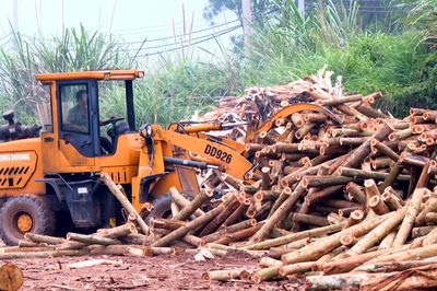 Động lực thúc đẩy phát triển kinh tế-xã hội
