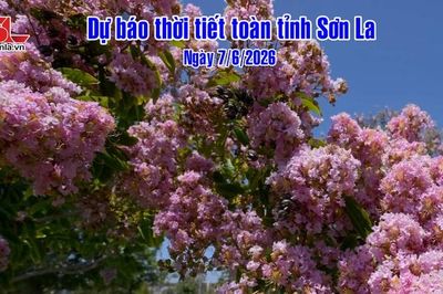 Dự báo thời tiết toàn tỉnh Sơn La ngày 7/6/2026