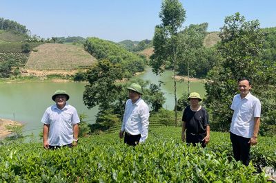 Xã Vô Tranh chuẩn bị chương trình trải nghiệm 'Dấu ấn xứ Trà'