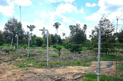 Kiên quyết xử lý tái lấn chiếm, bảo đảm tiến độ thi công cao tốc Khánh Hòa - Buôn Ma Thuột
