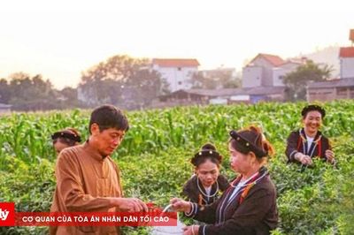 Đạo Trù - Phú Thọ sau sáp nhập: Bứt phá để vươn lên