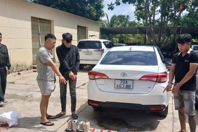 Sử dụng xe ô tô biển số giả đi bắn trộm chó mỗi đêm